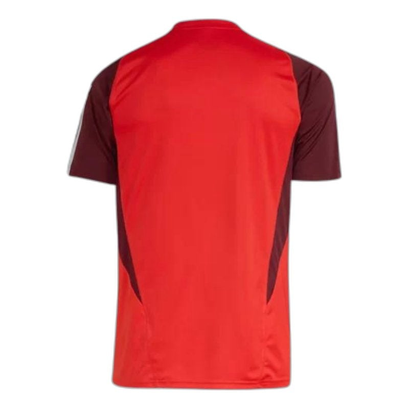Training 24/25 Men’s Shirt