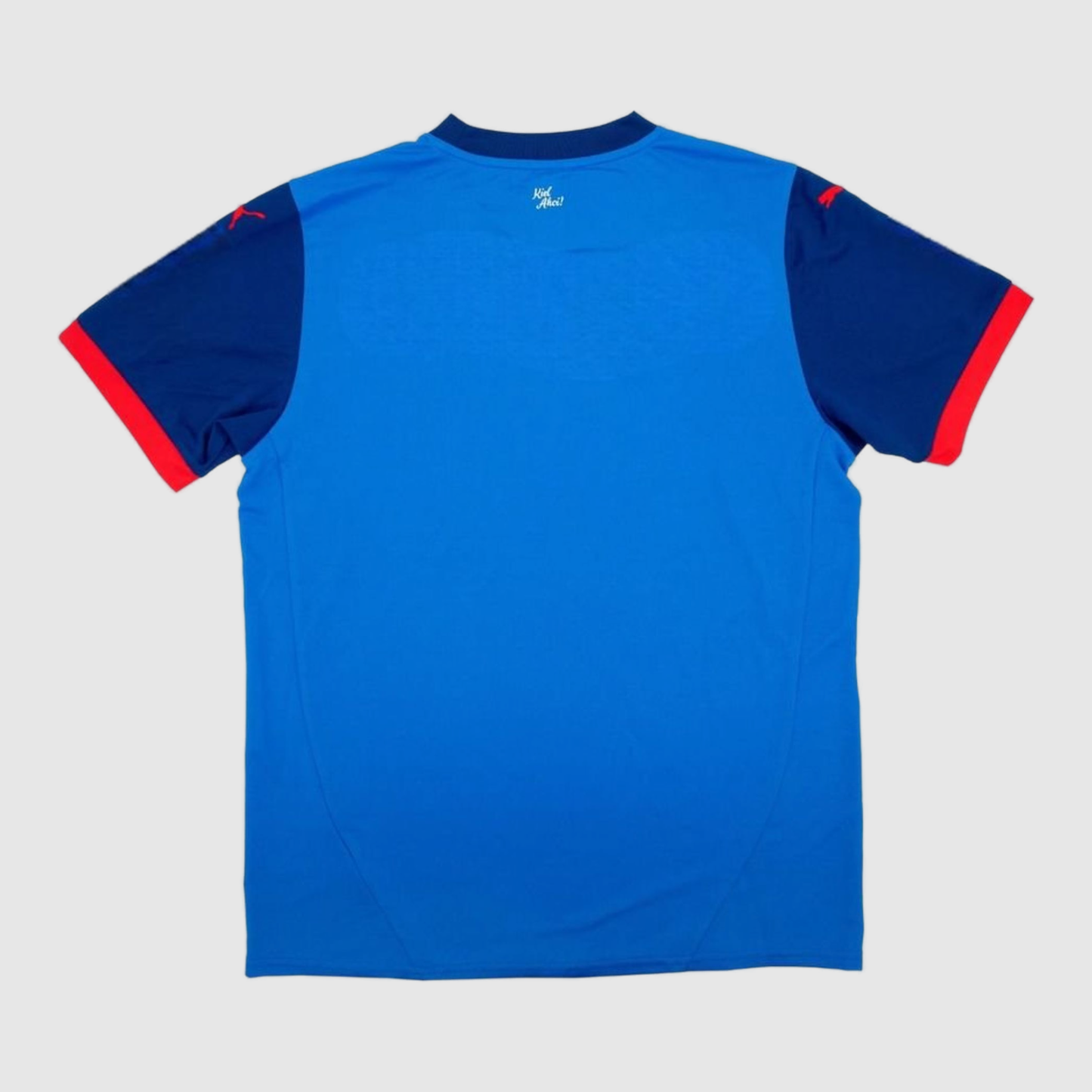Home 24/25 Men’s Shirt