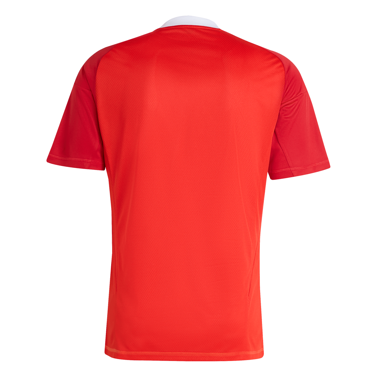 Goalkeeper 2025 Men’s Shirt