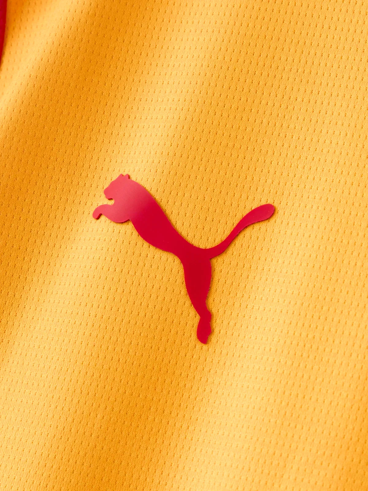 Third 26/27 Men's Fan Jersey II 055