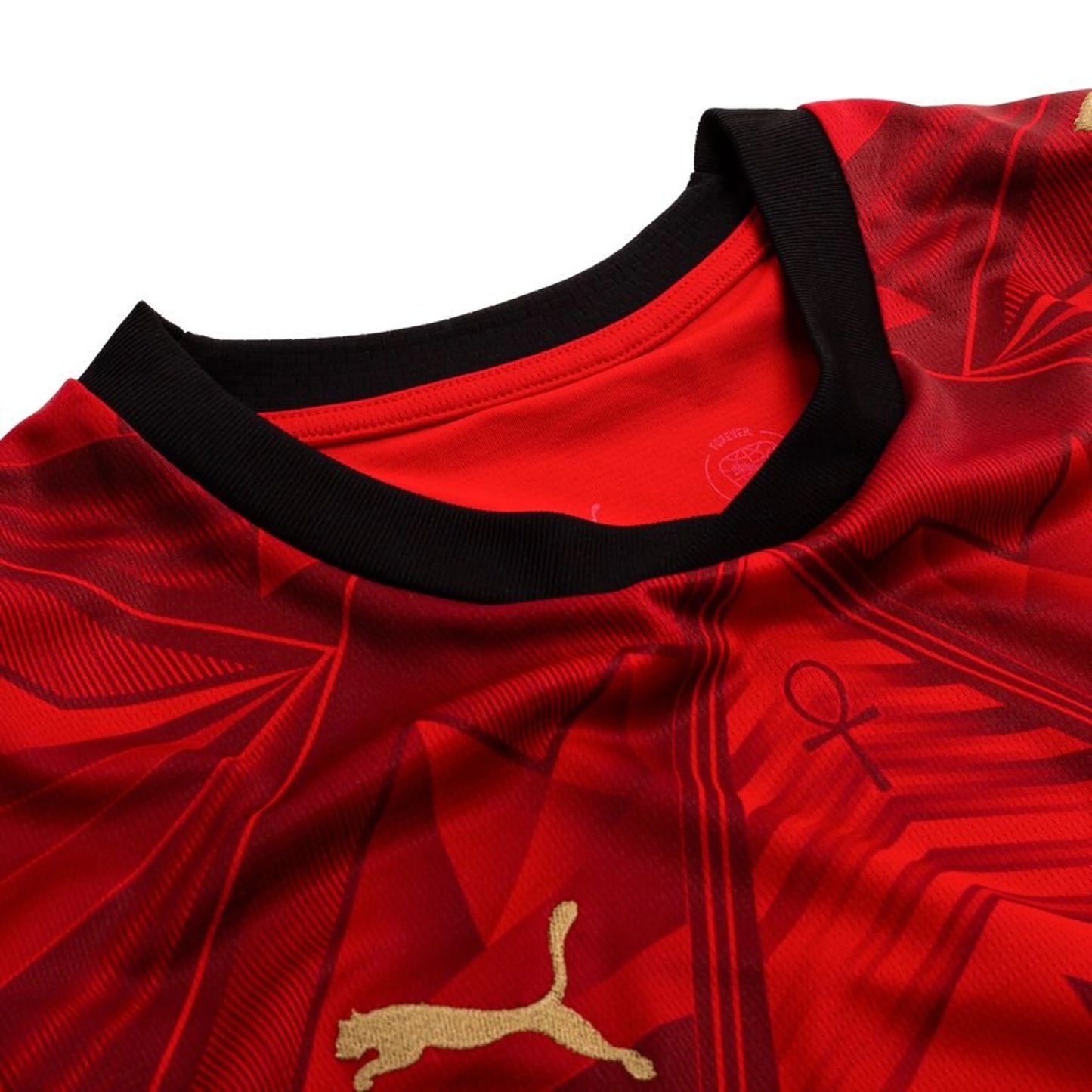 Home 26/27 Men’s Shirt
