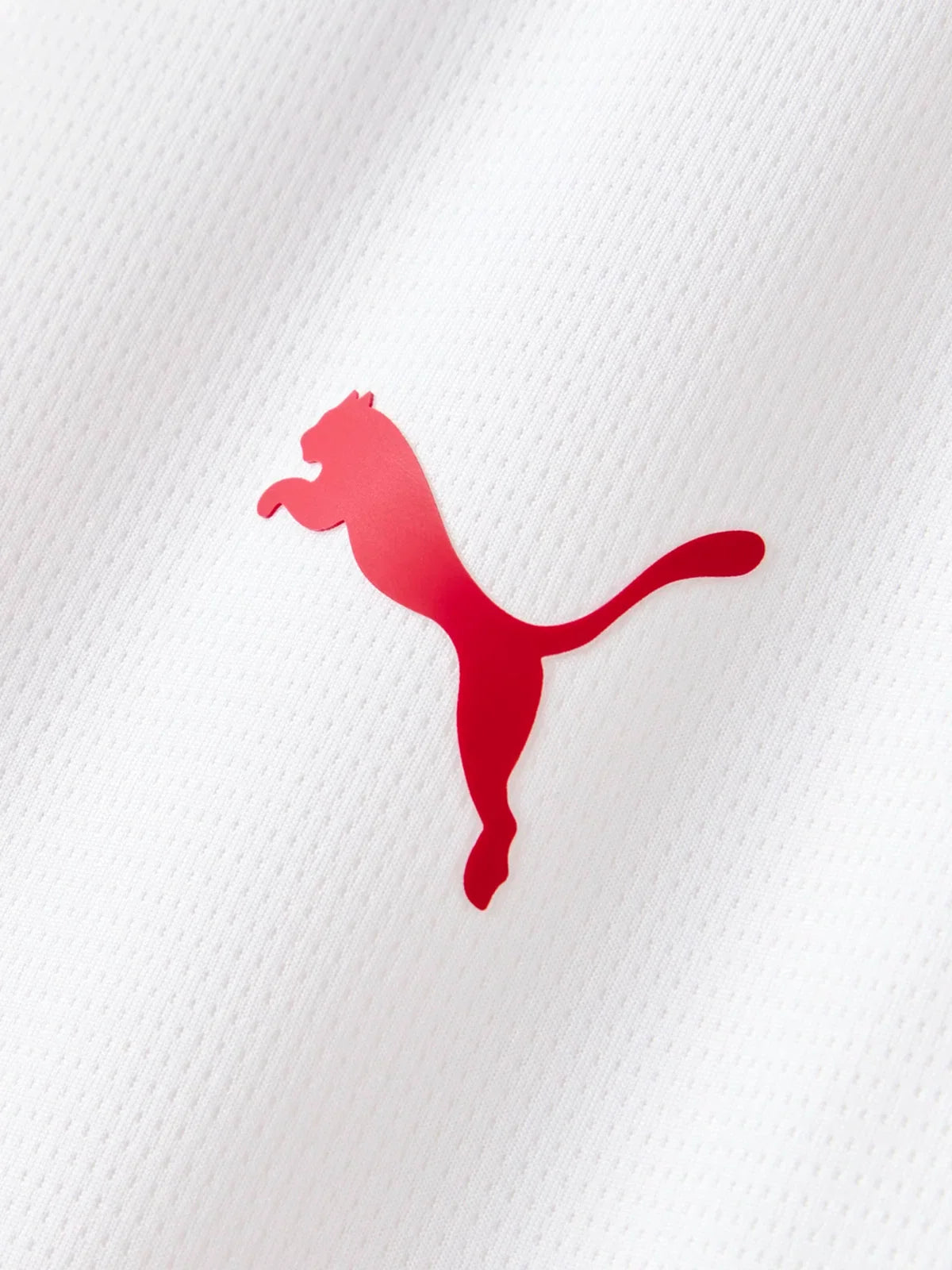 Third 26/27 Men's Fan Jersey 055