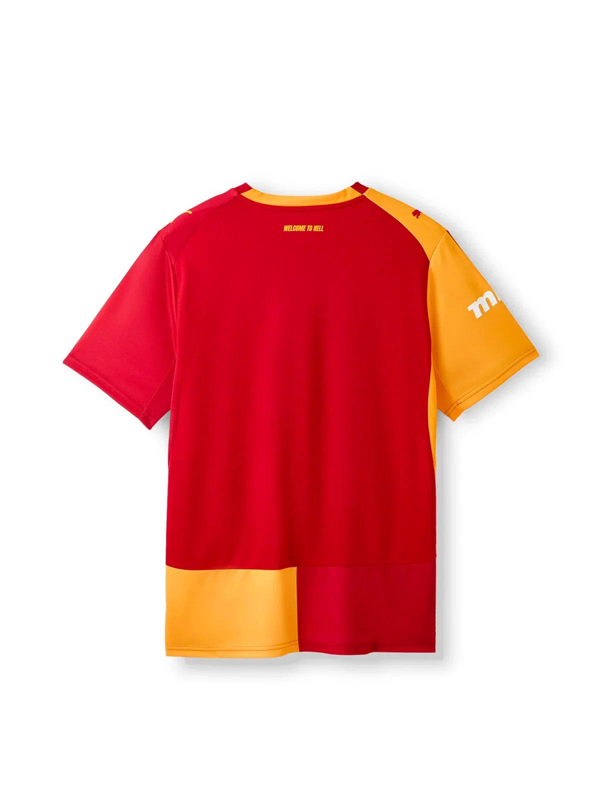 Third 26/27 Men's Fan Jersey II 055