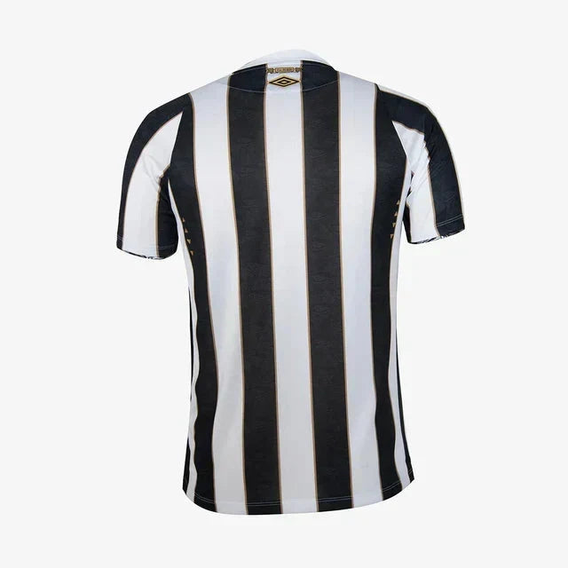 Away 24/25 Men’s Shirt