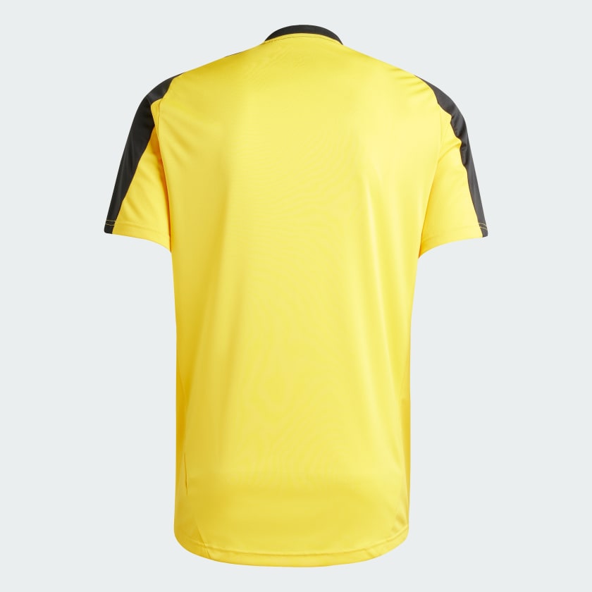 Training 24/25 Men’s Shirt