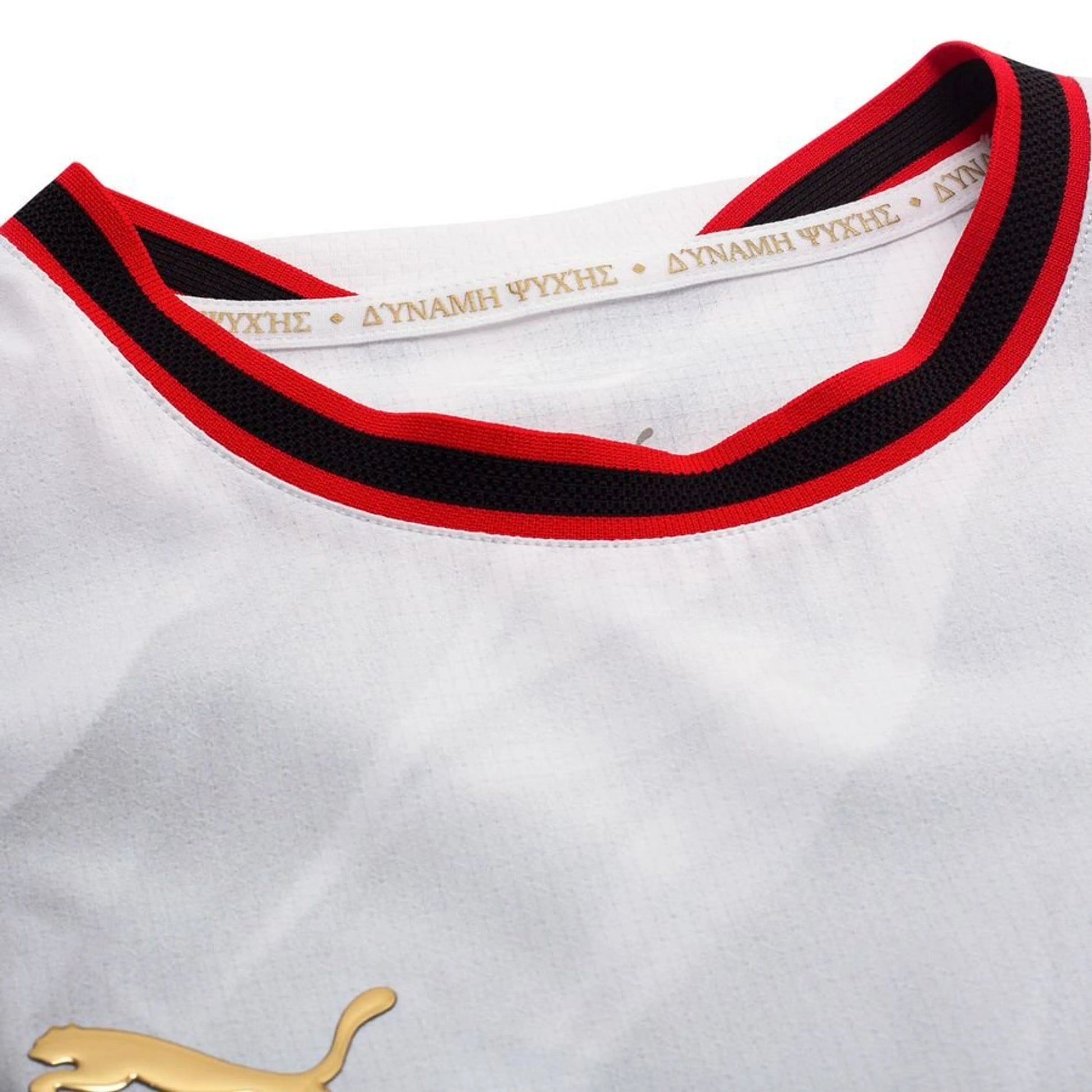 Away 26/27 Player Edition Long Sleeve Shirt